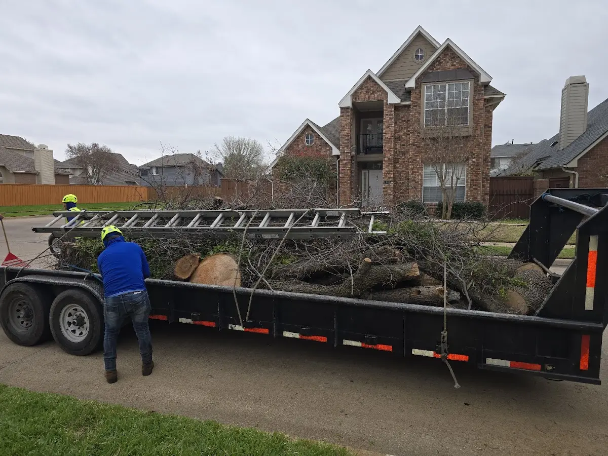 Expert Lot Clearing with proper safety equipment in Strathcona